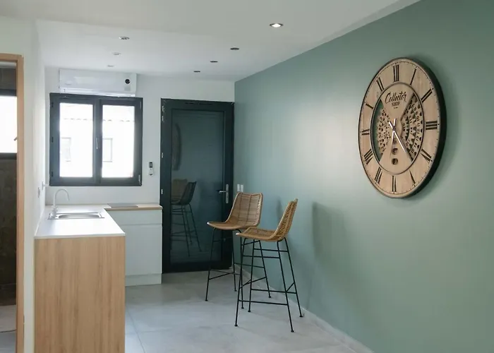 Studio Meuble Avec Terrasse